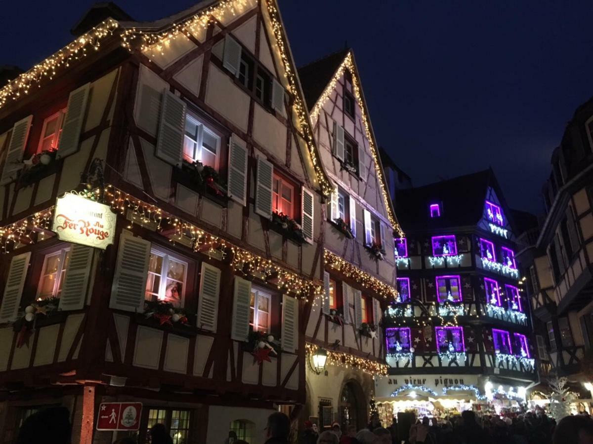 Beaux Lofts Pres D'Europa Park Et Strasbourg Villa Obenheim Exterior photo